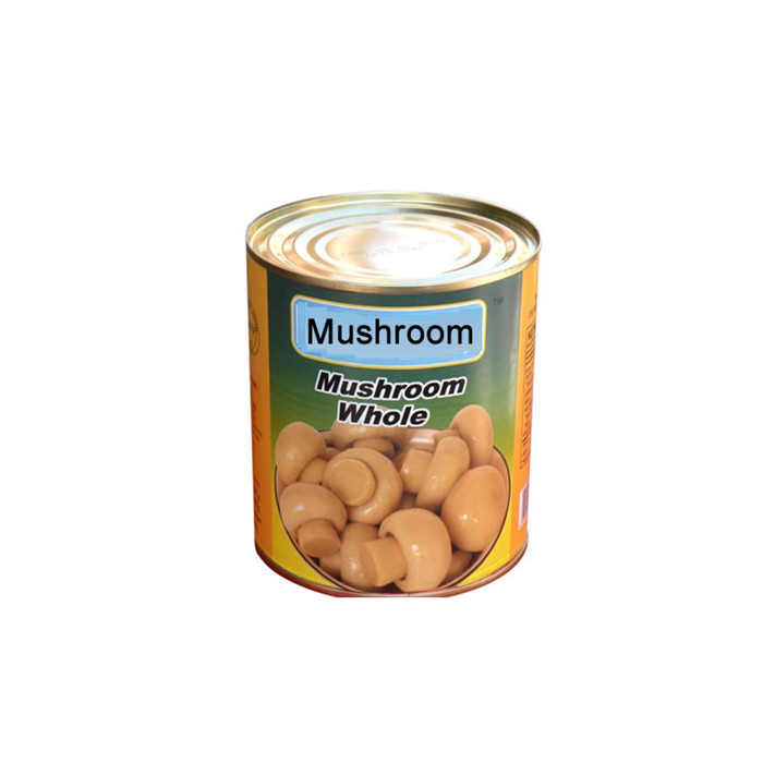 800g canned mushrooms factory