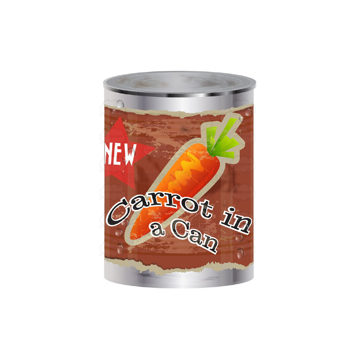 820g Canned Carrot 