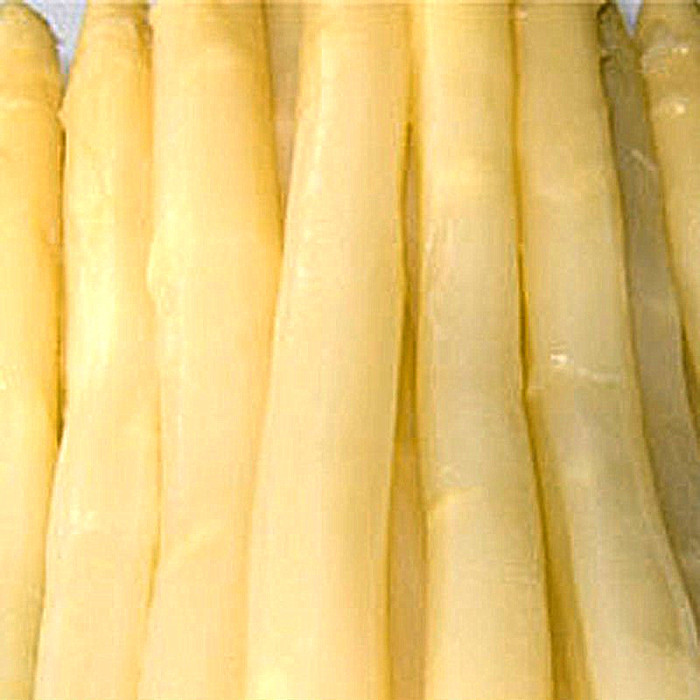 canned white asparagus