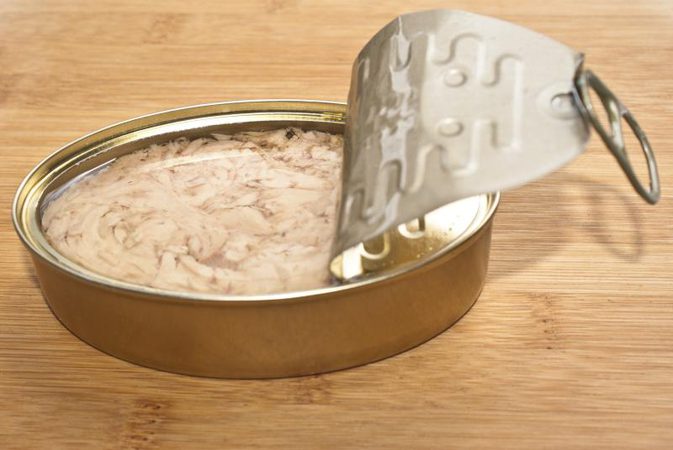 Canned fish without nutrition?