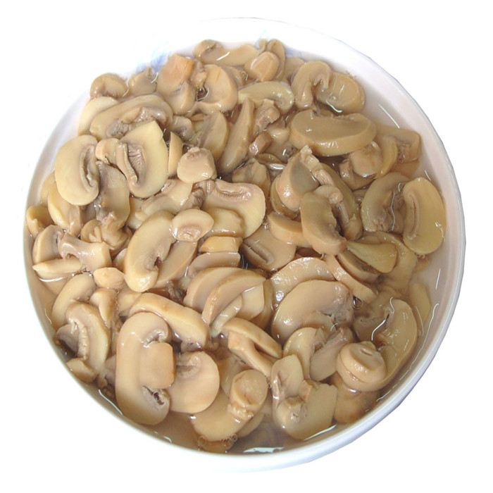 800g canned mushroom top quality