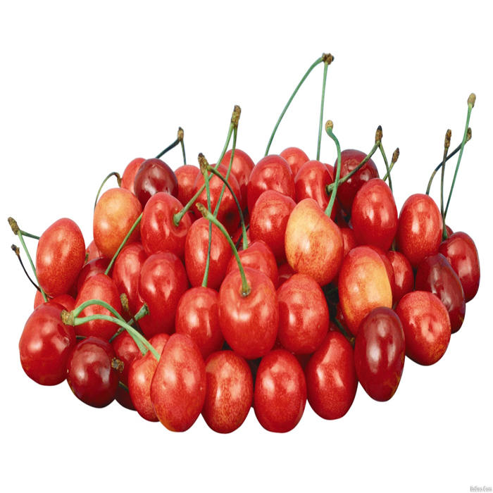 Canned cherry manufacturer 