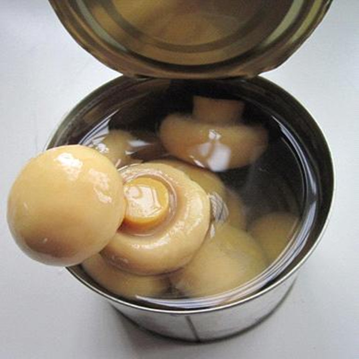 2840g Health canned mushroom foods halal