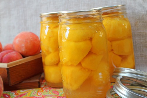 Canned peaches is even more delicious than yellow peaches, which is why?