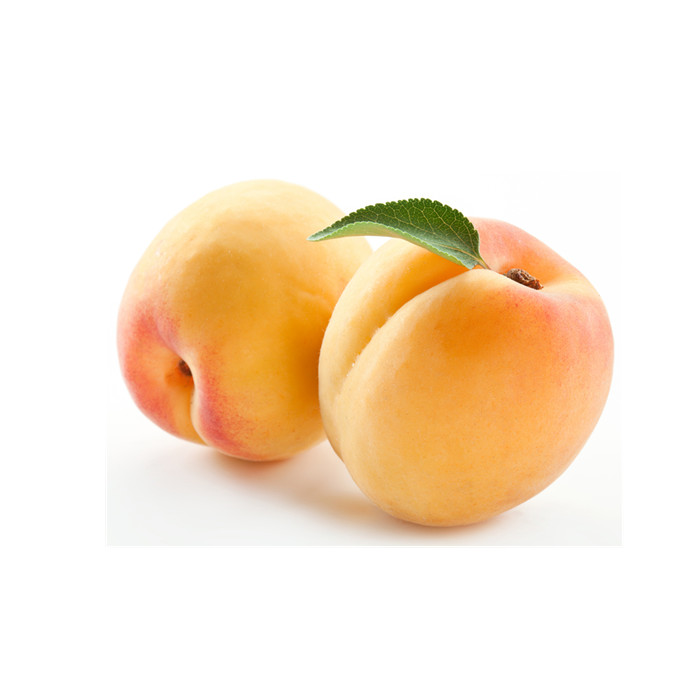 dried apricot