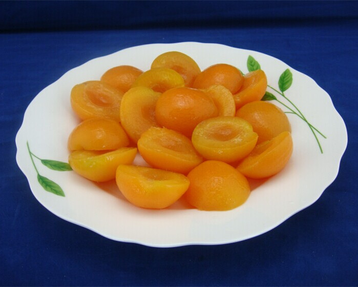 canned apricots factory