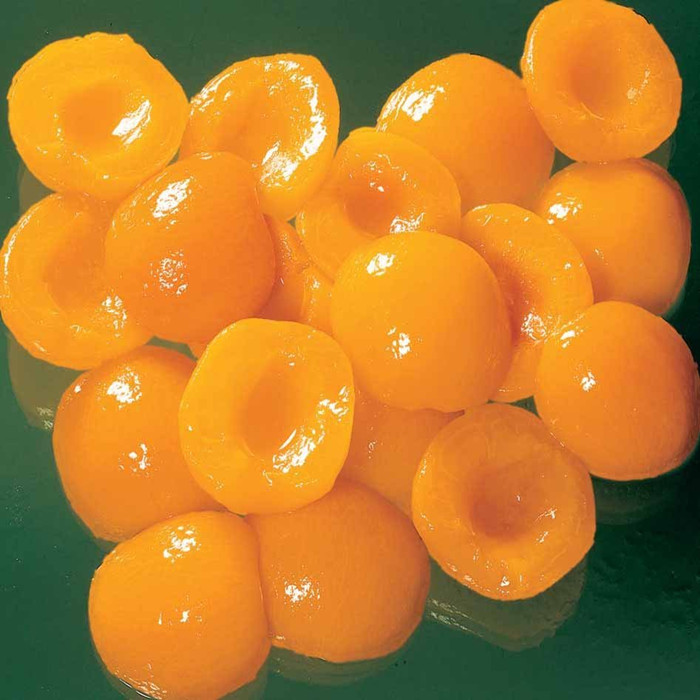 canned apricots havles