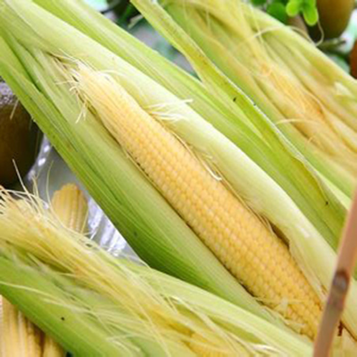 canned baby corn cut