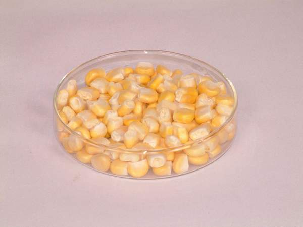 The source of the freeze-dried food