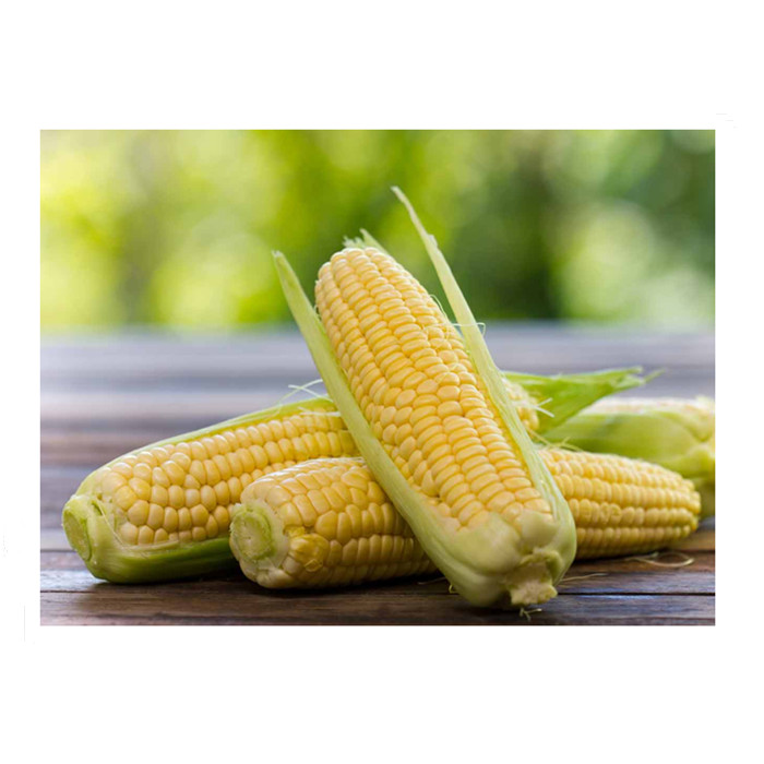 3000g canned kernel corn