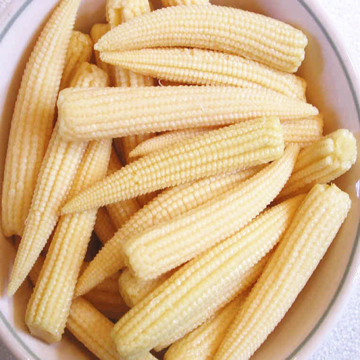 canned baby corn manufacturer