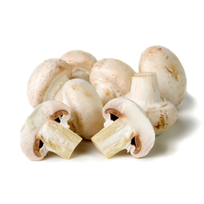 2840g canned Chinese mushroom 