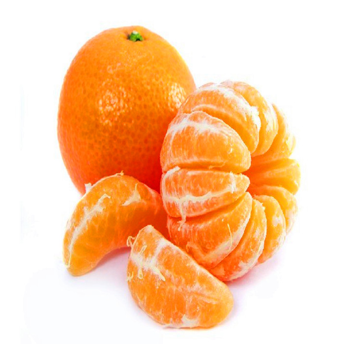 canned mandarin orange factory