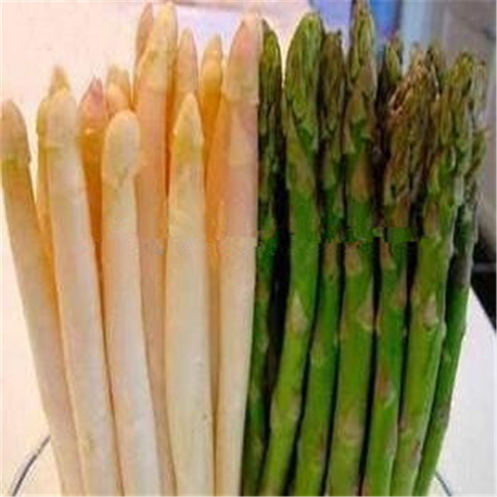 canned asparagus