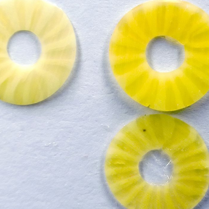 canned pineapple slices