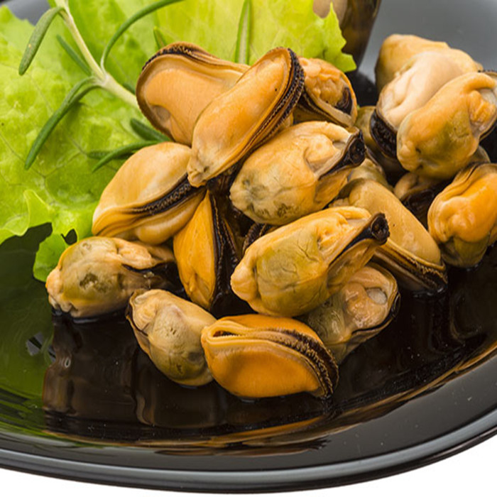 Canned Mussels Best Quality Jutai Foods Group