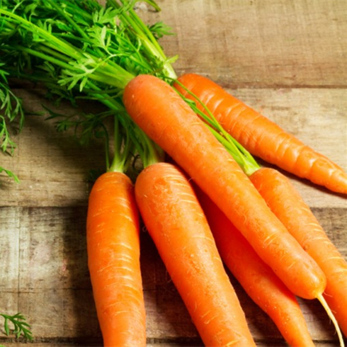 3000g Canned Carrot 