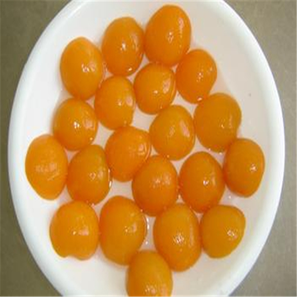 Canned Apricot  in Syrup