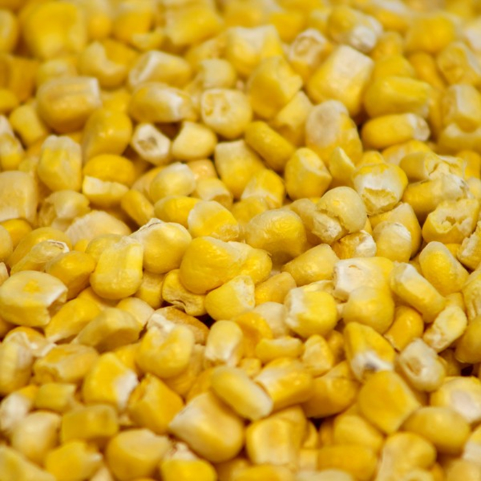 freeze dried corn